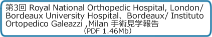 第2回Bordeaux/Locarno/Milan手術見学報告